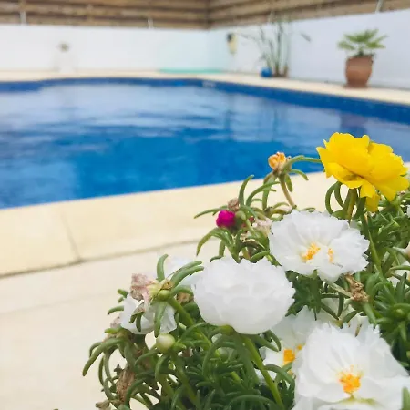Kykladon 7b Holiday House * בורוקליני